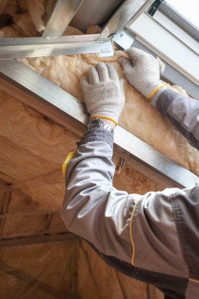 Best Residential Insulation in Burton, OH