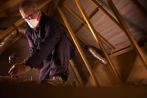 Best Cellulose Insulation in Burton, OH