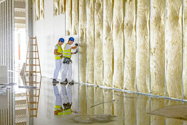 Best Insulation Maintenance and Repair in Burton, OH